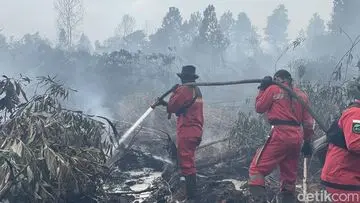 Pantau Karhutla: 3 Metode Cek Kebakaran Hutan untuk Masyarakat