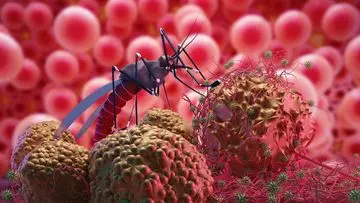 Perkuat Deteksi Dini Dengue untuk Menekan Angka Kematian