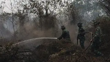 Misteri Kabut Asap Karhutla: Mengapa Jarak Tak Lagi Jadi Batasan?