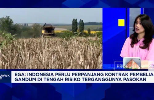 Ketergantungan Impor Gandum, Indonesia Hadapi Tantangan Stabilitas Pangan di Tengah Ketidakpastian Global