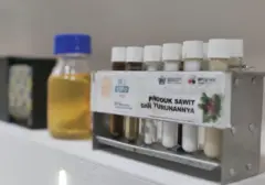Proyeksi Mengejutkan: Sawit Dominasi 60% Pasar Minyak Nabati Dunia pada 2050