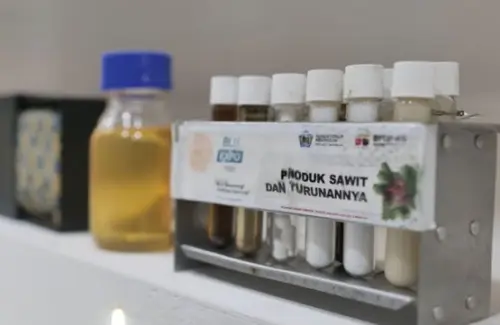 Proyeksi Mengejutkan: Sawit Dominasi 60% Pasar Minyak Nabati Dunia pada 2050