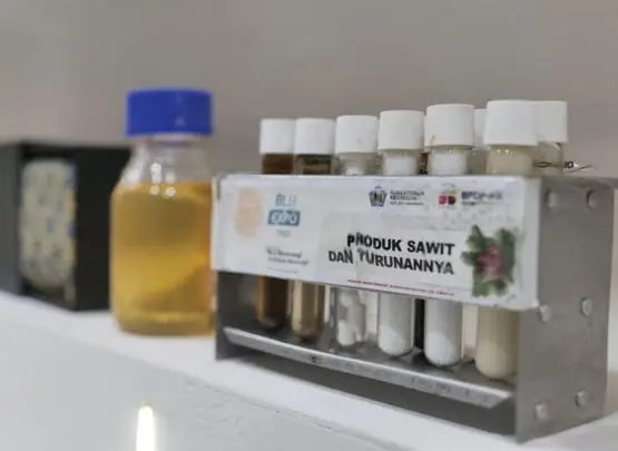 Proyeksi Mengejutkan: Sawit Dominasi 60% Pasar Minyak Nabati Dunia pada 2050