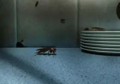 Waspada! Kipas Angin Bekas Bisa Jadi 'Rumah Mewah' Bagi Kecoak