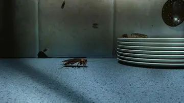 Waspada! Kipas Angin Bekas Bisa Jadi 'Rumah Mewah' Bagi Kecoak