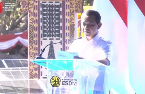 Atasi Krisis Listrik, 48 Genset Dibelikan Pemerintah untuk Puskesmas di NTT