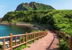 Skandal Pulau Jeju: Penemuan 4 Mayat dan Ratusan Laporan Orang Hilang Gegerkan Korsel