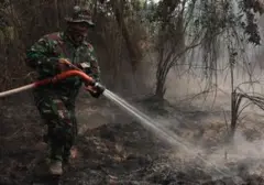 Tepung Singkong: Solusi Inovatif Pemadam Karhutla yang Dikaji Pemerintah