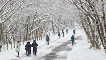 Dari Lokasi Romantis Drakor ke Misteri Penemuan 4 Mayat di Pulau Jeju