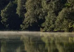 Kebakaran Hutan Landa Semeru, 170 Pendaki di Ranu Kumbolo Berhasil Dievakuasi