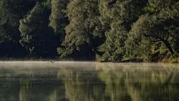 Kebakaran Hutan Landa Semeru, 170 Pendaki di Ranu Kumbolo Berhasil Dievakuasi