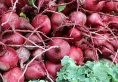 7 Makanan Ini Ampuh Jaga Kesehatan Paru-paru Anda, Jadikan Kebiasaan Harian