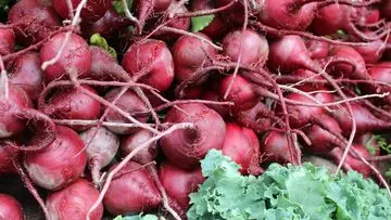 7 Makanan Ini Ampuh Jaga Kesehatan Paru-paru Anda, Jadikan Kebiasaan Harian