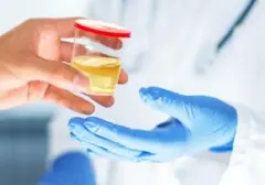 Bahaya Minum Urine Saat Terjebak di Laut: Dampak Dehidrasi yang Mengancam Jiwa