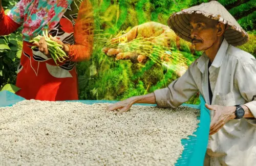 Potensi Harta Karun Pertanian Indonesia: 5 Komoditas Unggulan yang Jadi Incaran Pasar Global