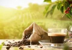 Budaya Ngopi Berkembang Pesat, Pemanfaatan Ampas Kopi Jadi Sorotan