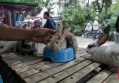 FLONA 2026 Resmi Dibuka Hari Ini di Lapangan Banteng, Pintu Masuk Gratis untuk Publik