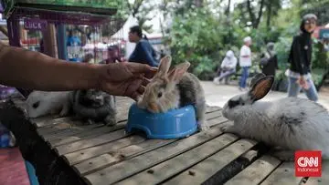 FLONA 2026 Resmi Dibuka Hari Ini di Lapangan Banteng, Pintu Masuk Gratis untuk Publik