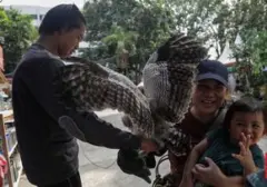 FLONA 2026 Dibanjiri Pengunjung, Lapangan Banteng Disulap Jadi Surga Flora dan Fauna