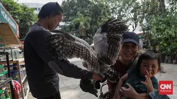FLONA 2026 Dibanjiri Pengunjung, Lapangan Banteng Disulap Jadi Surga Flora dan Fauna