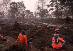 Jerat Pidana Korporasi di Balik Kebakaran Hutan: Tantangan Penegakan Hukum dan Perlindungan Lingkungan
