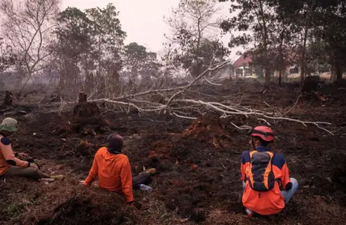 Jerat Pidana Korporasi di Balik Kebakaran Hutan: Tantangan Penegakan Hukum dan Perlindungan Lingkungan