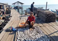 BRI Tingkatkan Kualitas Pengusaha Ikan Kering Sorong Melalui Program Pemberdayaan