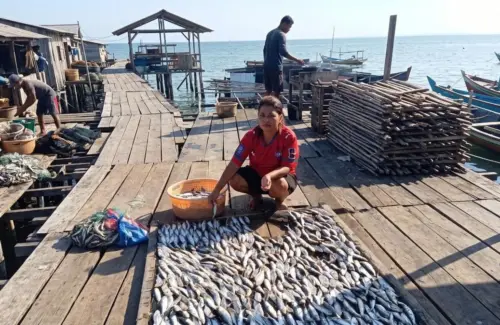 BRI Tingkatkan Kualitas Pengusaha Ikan Kering Sorong Melalui Program Pemberdayaan