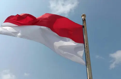 Mendesak, Indonesia Perlu UU Penanggulangan Spionase dan Intervensi Asing di Tengah Ancaman Global