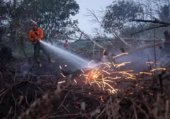 Titik Panas Karhutla Meningkat Tajam, Ancaman Kebakaran Hutan dan Lahan Semakin Nyata