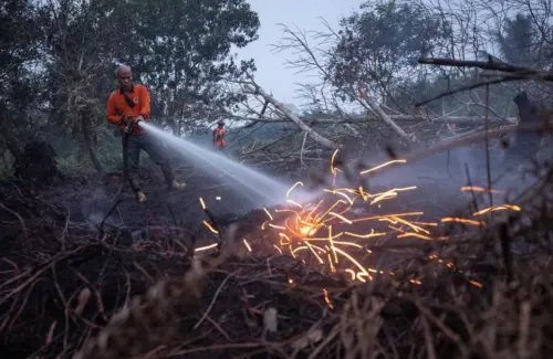 Titik Panas Karhutla Meningkat Tajam, Ancaman Kebakaran Hutan dan Lahan Semakin Nyata