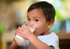 Cari Alternatif Susu Sapi untuk Si Kecil? Ini Pilihan Bergizi yang Aman