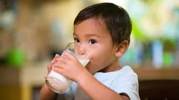 Cari Alternatif Susu Sapi untuk Si Kecil? Ini Pilihan Bergizi yang Aman