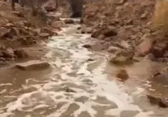 Aliran Sungai Muncul di Gurun Madinah Pasca Hujan Deras, Fenomena Alam atau Pertanda?