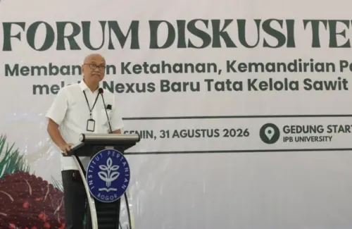 Sawit: Pilar Kemandirian Pangan dan Energi Nasional yang Perlu Terus Diperkuat