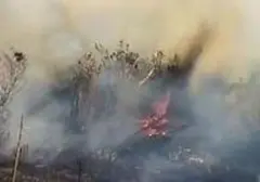 Sembilan Taman Nasional Tutup Jalur Pendakian Mulai Besok, Ini Alasannya