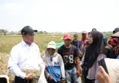 Mentan Amran Perluas Akses Bantuan Alsintan untuk Buruh Tani, Tingkatkan Produktivitas Pertanian