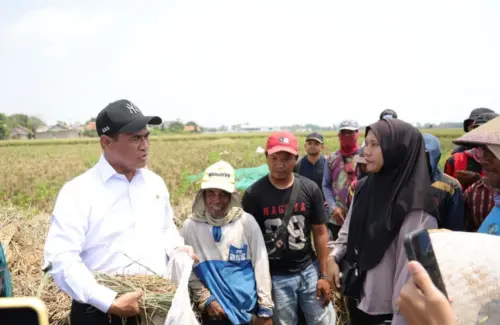 Mentan Amran Perluas Akses Bantuan Alsintan untuk Buruh Tani, Tingkatkan Produktivitas Pertanian