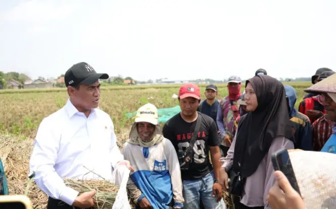 Mentan Amran Perluas Akses Bantuan Alsintan untuk Buruh Tani, Tingkatkan Produktivitas Pertanian