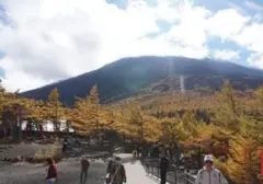 Ayah Tinggalkan Anak yang Lelah di Gunung Fuji, Polisi Jepang Selidiki Tindakan Kriminal