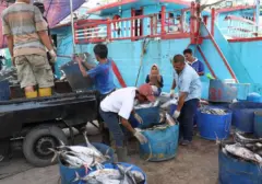Proyek Ambisius Prabowo: Rp125,5 Triliun untuk 4.582 Kapal Ikan Modern
