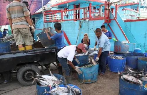 Proyek Ambisius Prabowo: Rp125,5 Triliun untuk 4.582 Kapal Ikan Modern