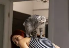 Mengapa Kucing Memijat 'Babunya'? Tanda Kasih Sayang yang Punya Akar Naluri Purba
