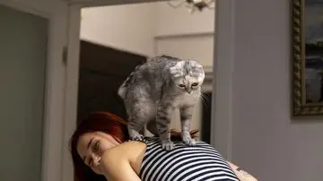 Mengapa Kucing Memijat 'Babunya'? Tanda Kasih Sayang yang Punya Akar Naluri Purba