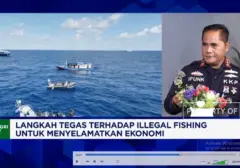 KKP Amankan Kapal Berbendera Hong Kong Terlibat Pencurian Ikan Napoleon di Perairan Natuna