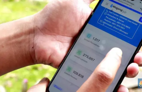 Kabar Gembira! 50.000 Lowongan Magang Gaji UMP Dibuka Kembali, Cek Jadwal dan Cara Daftarnya