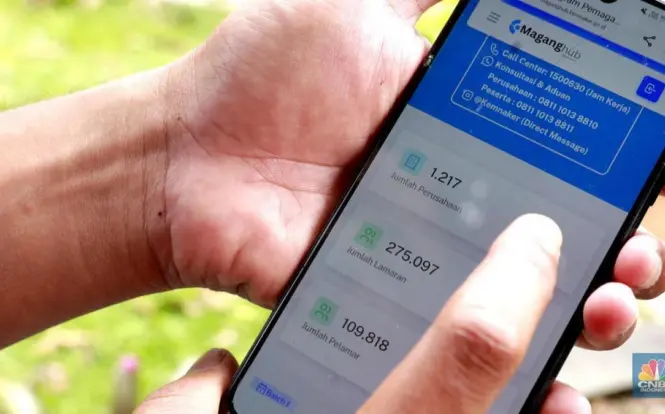 Kabar Gembira! 50.000 Lowongan Magang Gaji UMP Dibuka Kembali, Cek Jadwal dan Cara Daftarnya