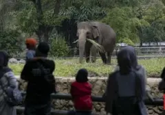 Wacana Kenaikan Tarif Masuk Kebun Binatang Ragunan Menjadi Rp10 Ribu, Ini Penjelasannya