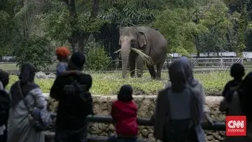 Wacana Kenaikan Tarif Masuk Kebun Binatang Ragunan Menjadi Rp10 Ribu, Ini Penjelasannya