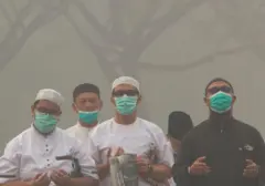 Hadapi Kekeringan dan Karhutla, MUI Imbau Umat Islam Gelar Salat Istisqa